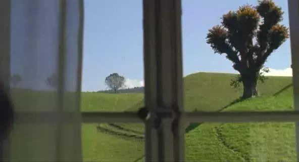 豆瓣8.3分的冷门电影,豆瓣8.4高分0差评冷门催泪片