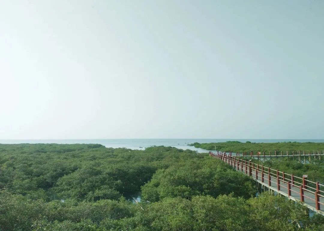 北海除了海边还有什么风景,北海除了银滩还有哪个海滩