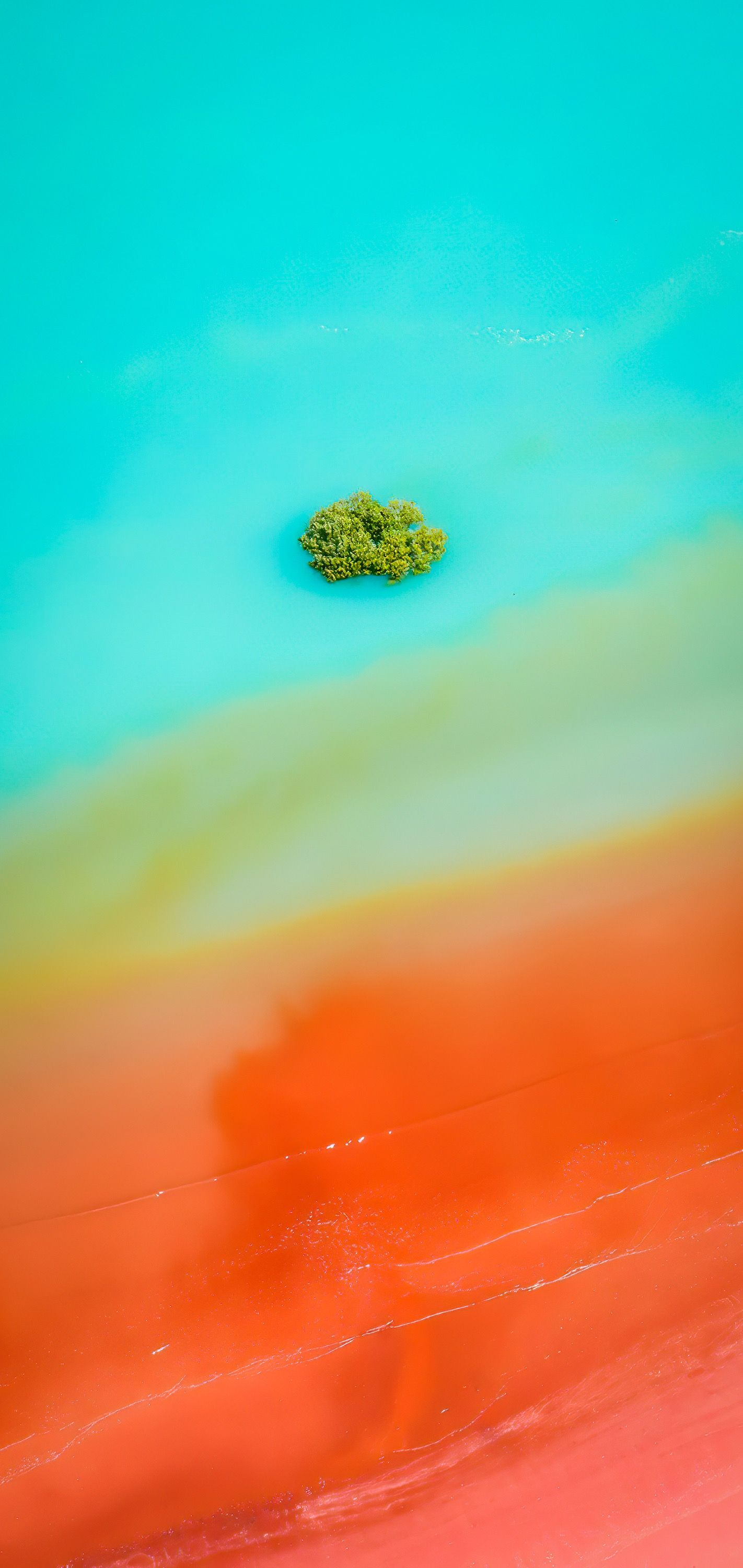 让你惊讶的壁纸,让人一看就震撼的壁纸