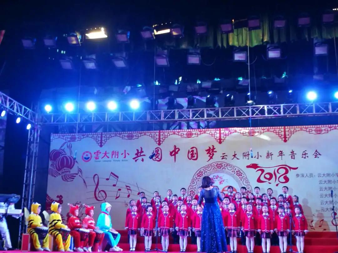 云大附小“融合式教学”的探索与实践——访云南大学附属小学校长谢静|封面校长