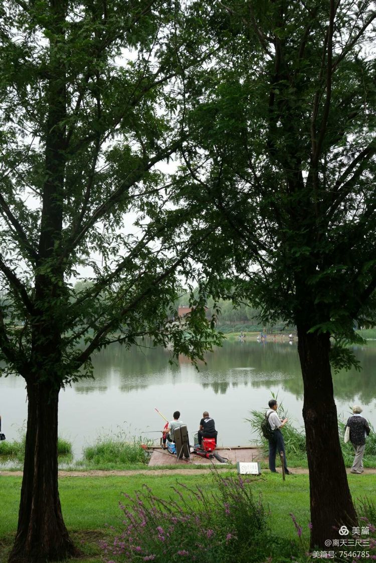 玉泉山北坞公园介绍,北坞村玉泉山