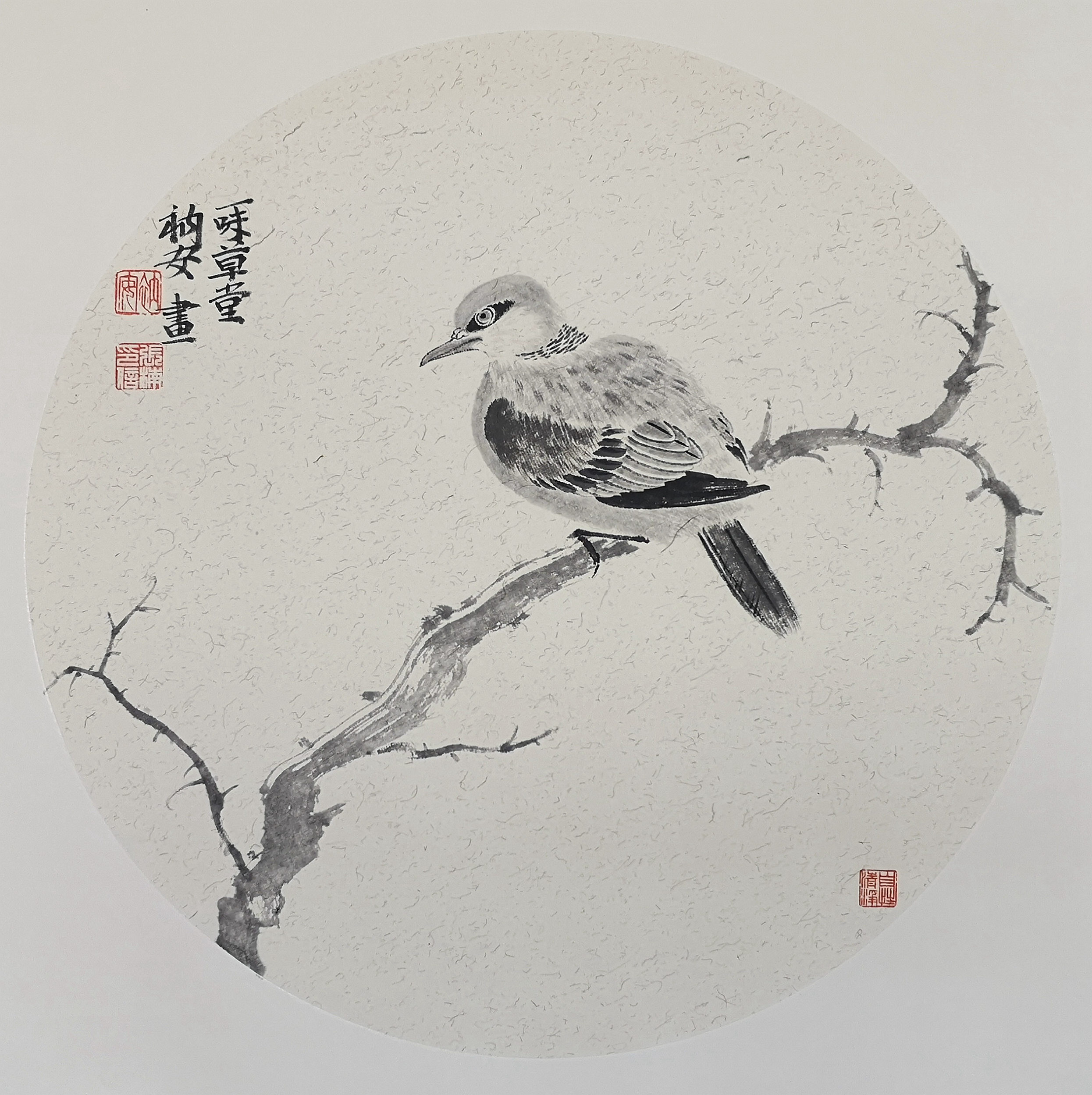 青年画家张楠：画画的时候，就要做到“心无杂念”。