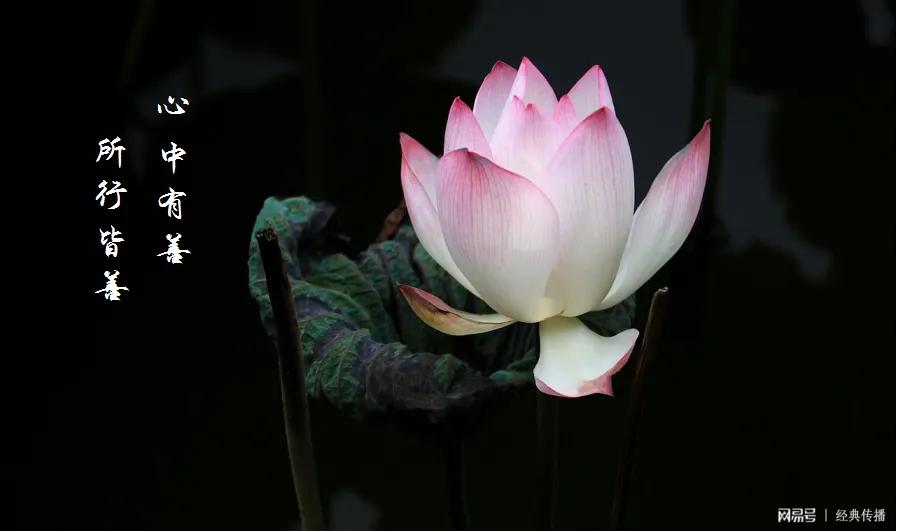 有目的的行善是善还是恶,行善需要智慧和力量