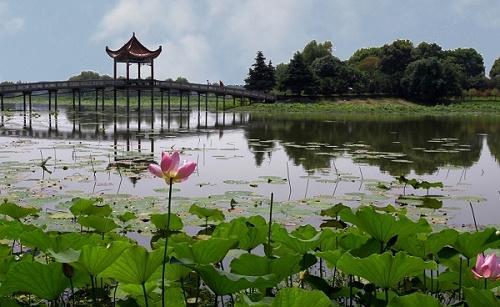 湖北风景园林排名,湖北国家级湿地公园名单