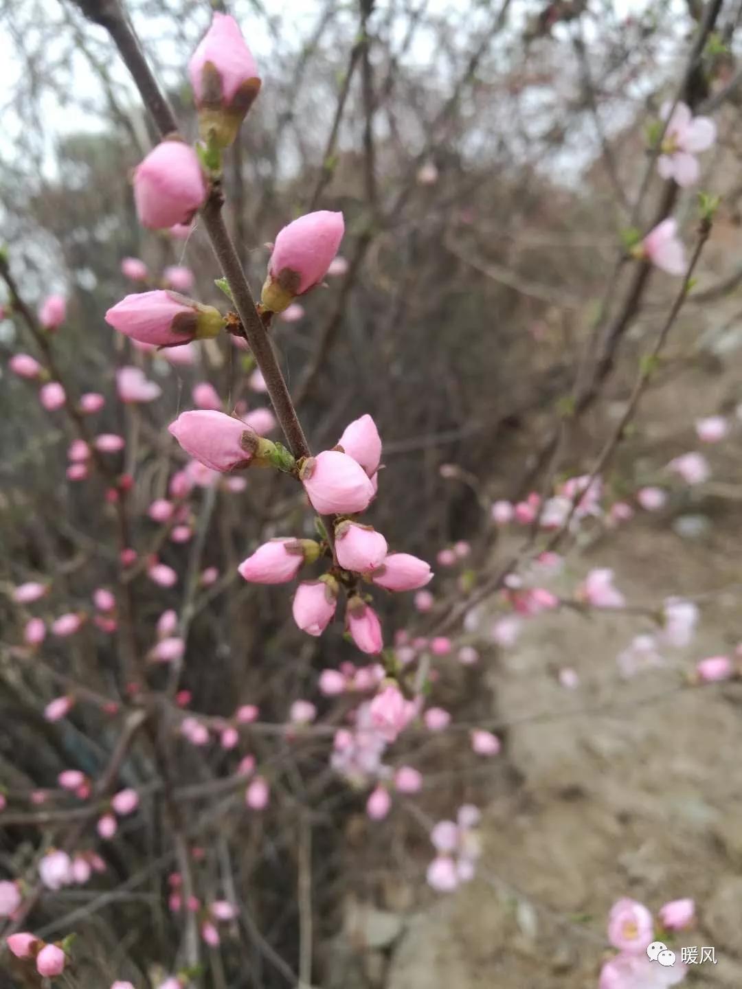 聪明的女人怎么对待暴力老公,聪明的女人怎么面对男人不回消息