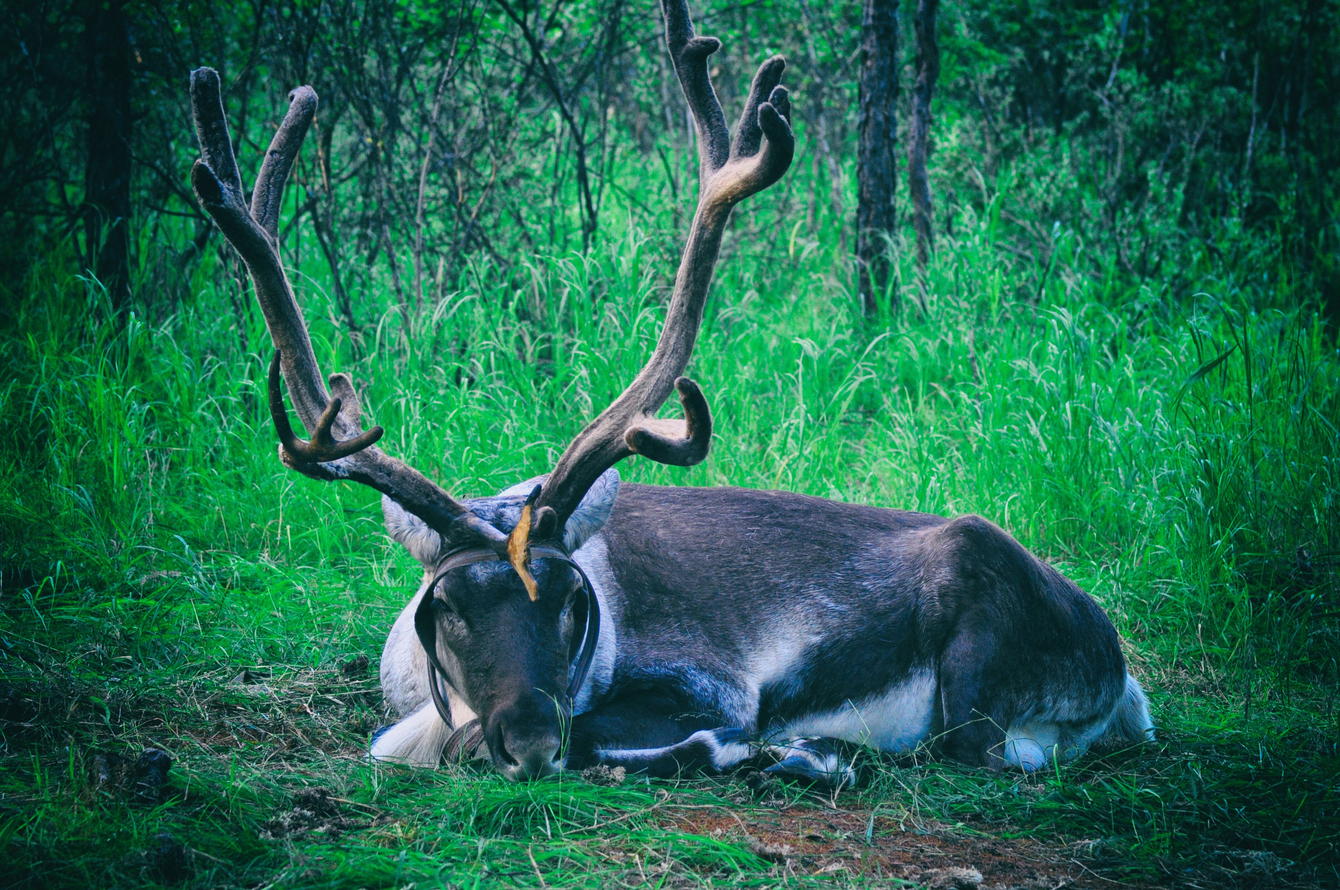 南方人自驾来东北是啥体验,15天一万公里的新疆感受