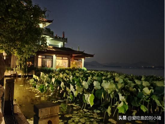 南方景色巅峰!饱含人间风雅的西湖到底有多美?