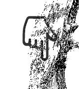 最好用的三大老牌国货,十大公认最好用的国货