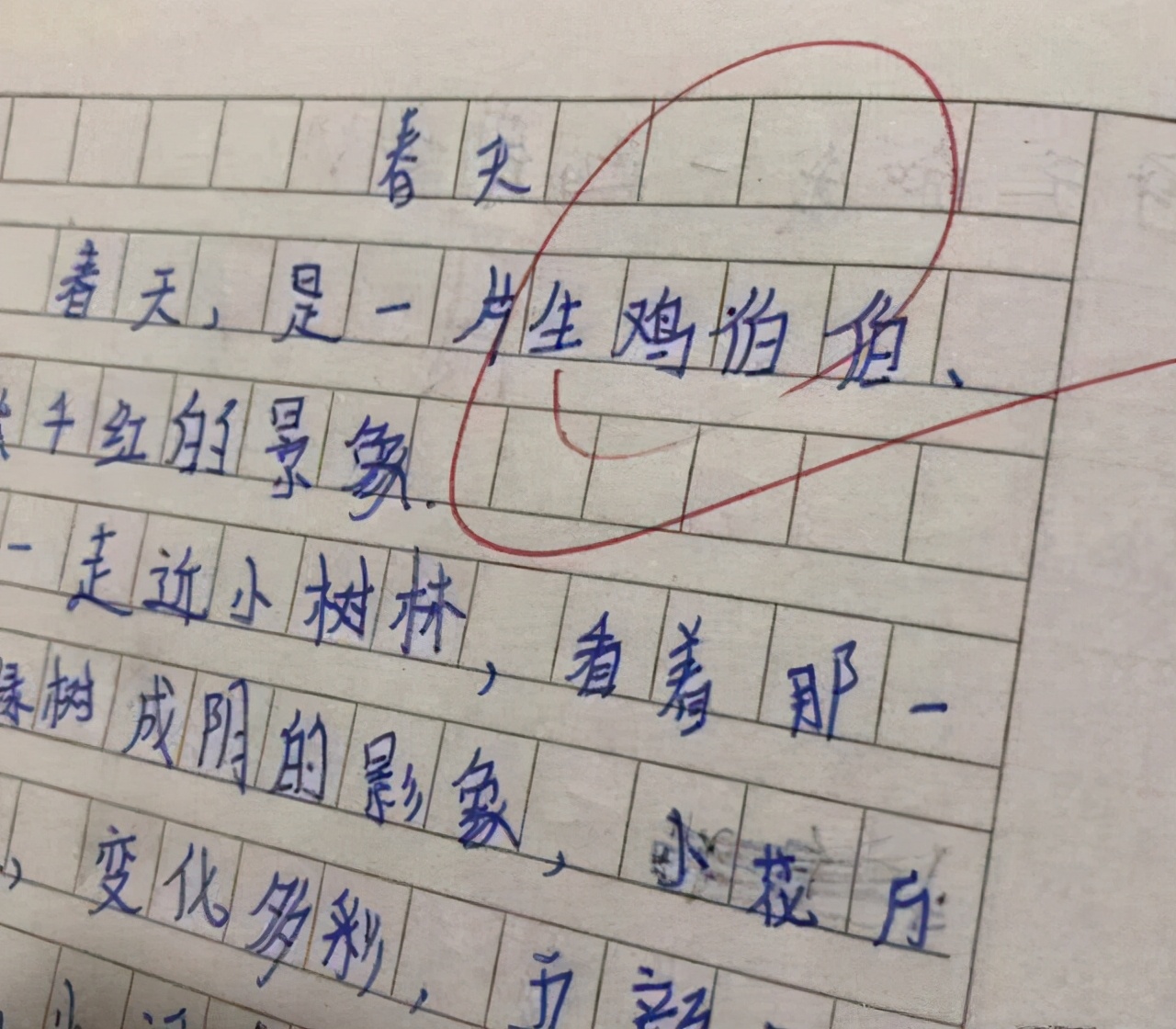 我妈打呼噜像猪叫,小学生作文都写了啥,“生鸡伯伯”你还认识吗