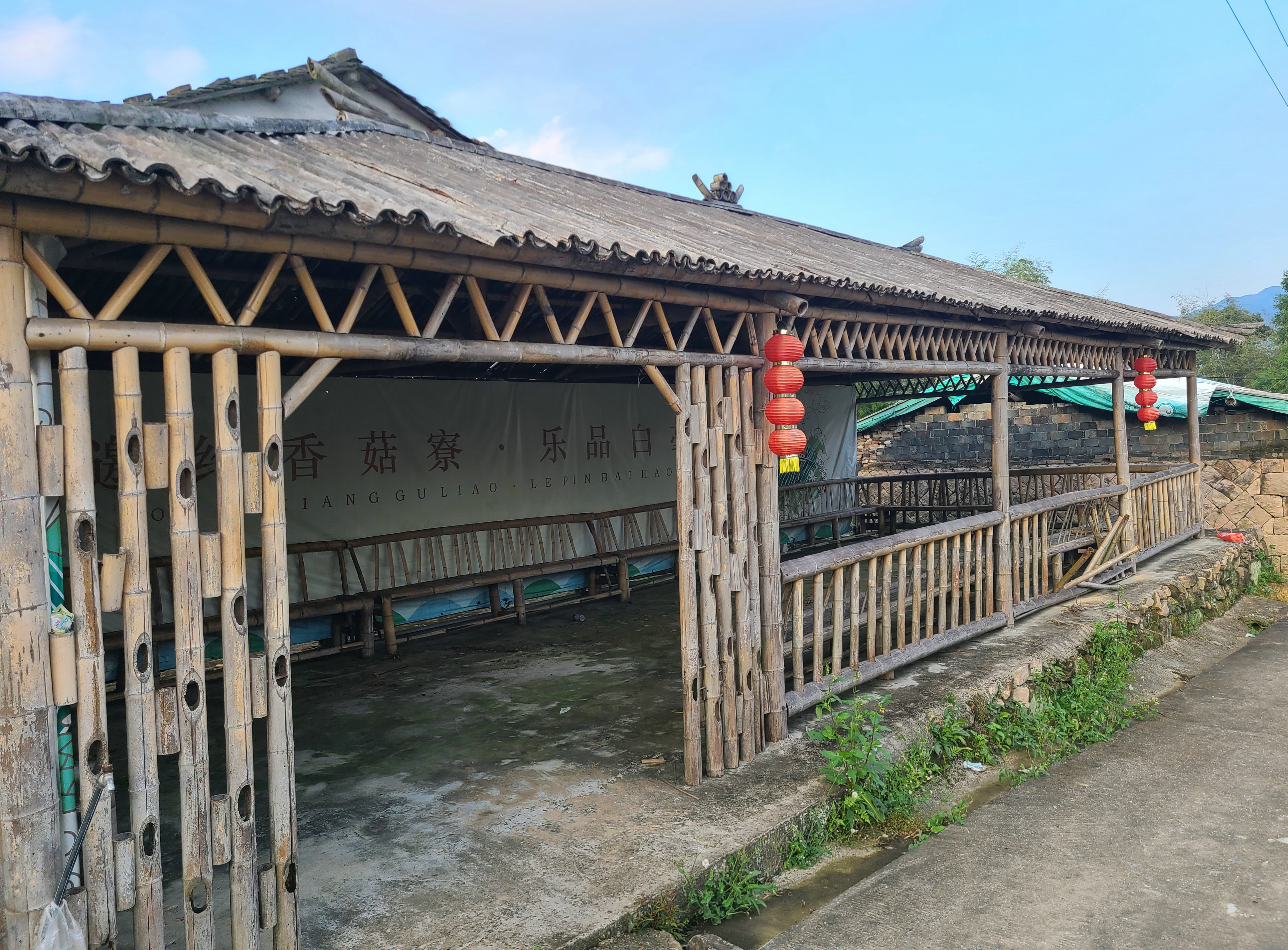 泰顺最出名的茶叶 (泰顺名茶有哪些)