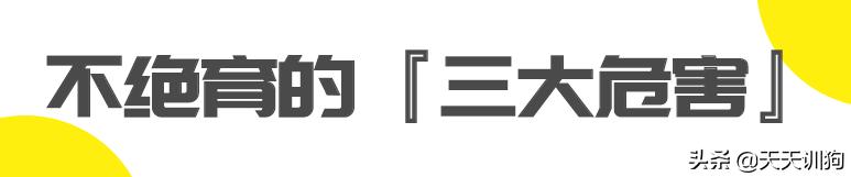 被绝育的狗子,公狗做绝育自闭