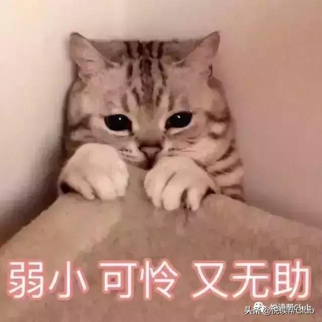 安顺藤木病院主题鬼屋,最恐怖的鬼屋藤木病院