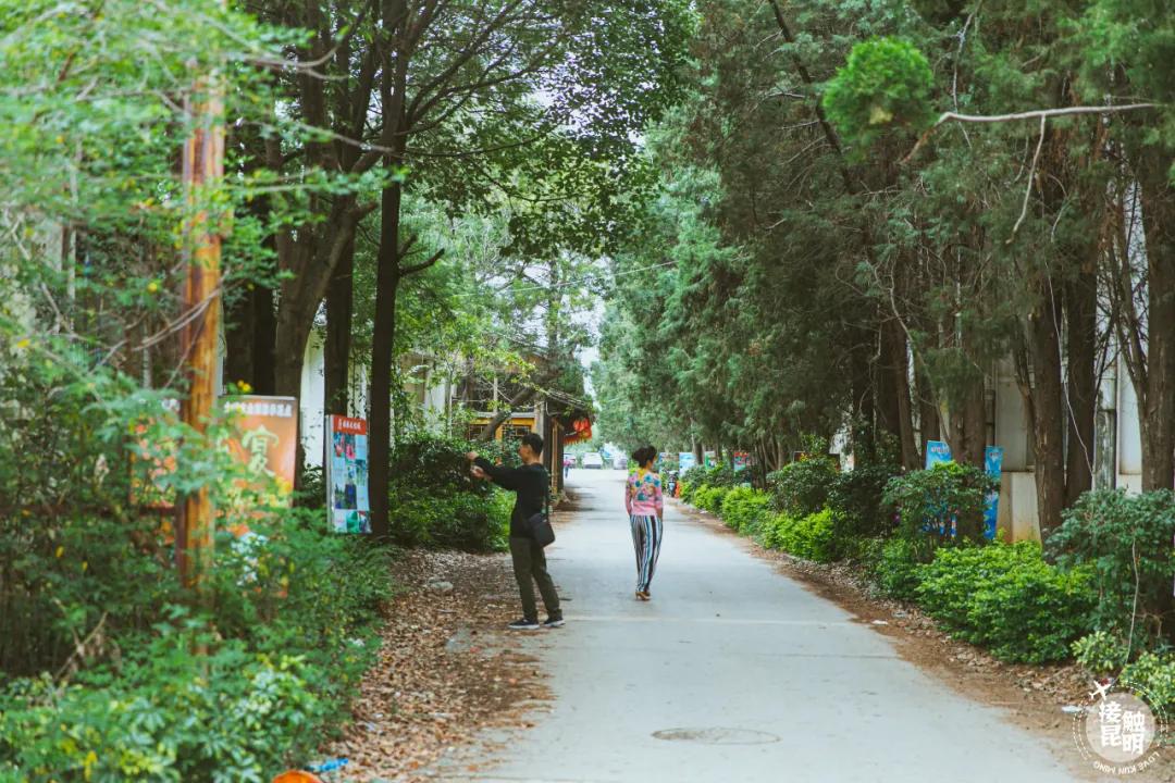 福保文化城景点,福保文化城旧址