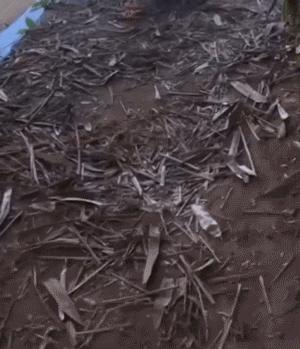 至尊宝真人版王者搞笑视频,至尊宝搞笑图片王者荣耀