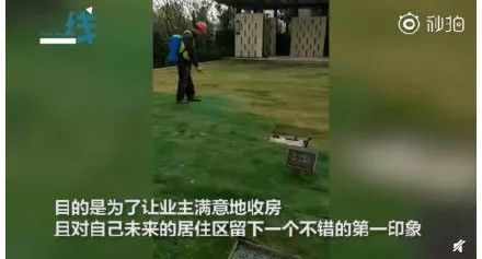 裸眼4D塑胶人工湖、水泥地上种草皮，开发商那些骚断腰的迷惑行为