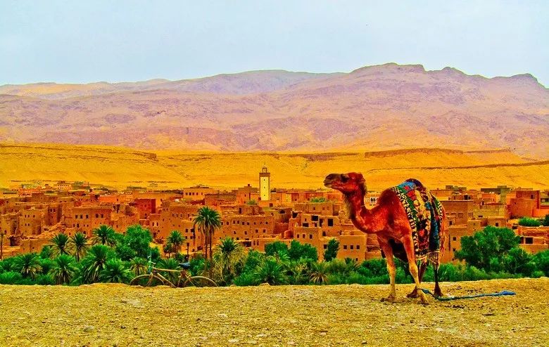 经典ios原生壁纸,iphonex原生壁纸高清海洋风清凉