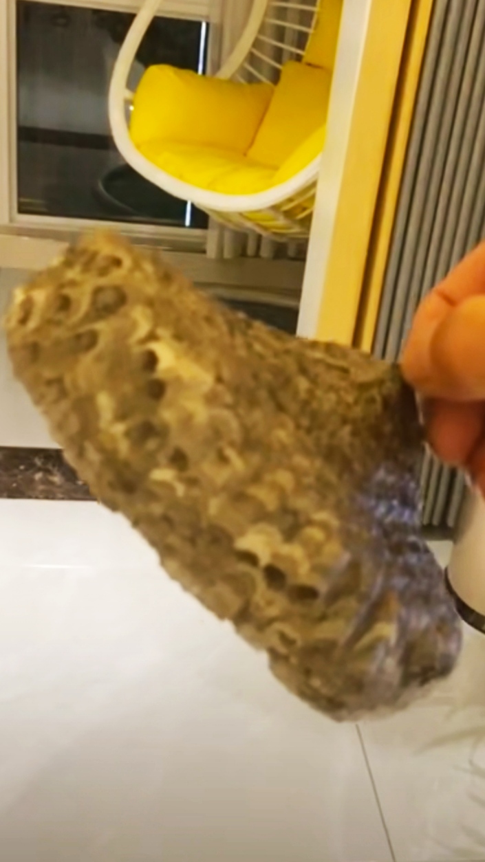 农村室内出现马蜂窝不要怕，3种方法轻松解决，注意安全操作