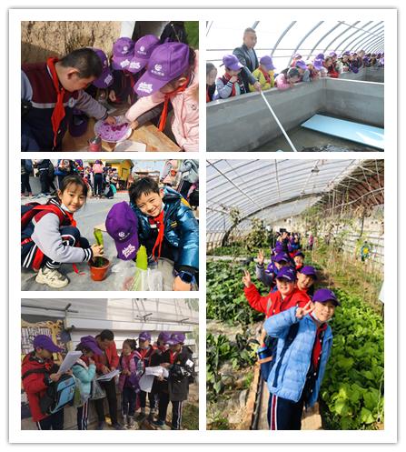 小学学农实践体验活动,开展秋季第一课劳动实践活动