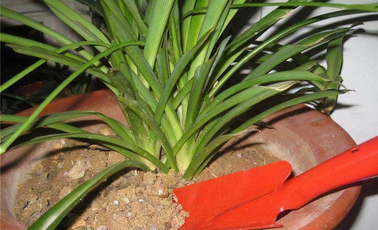 旧土翻新重新利用,如何改造旧土