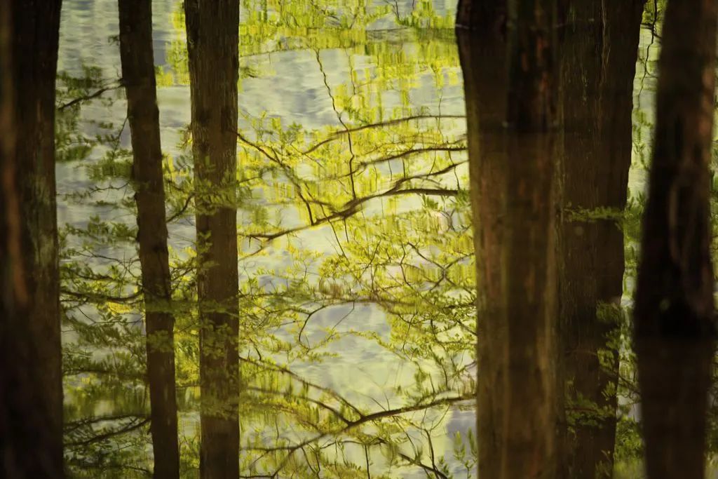 汉中龙池湖攻略,汉中龙池湖简介