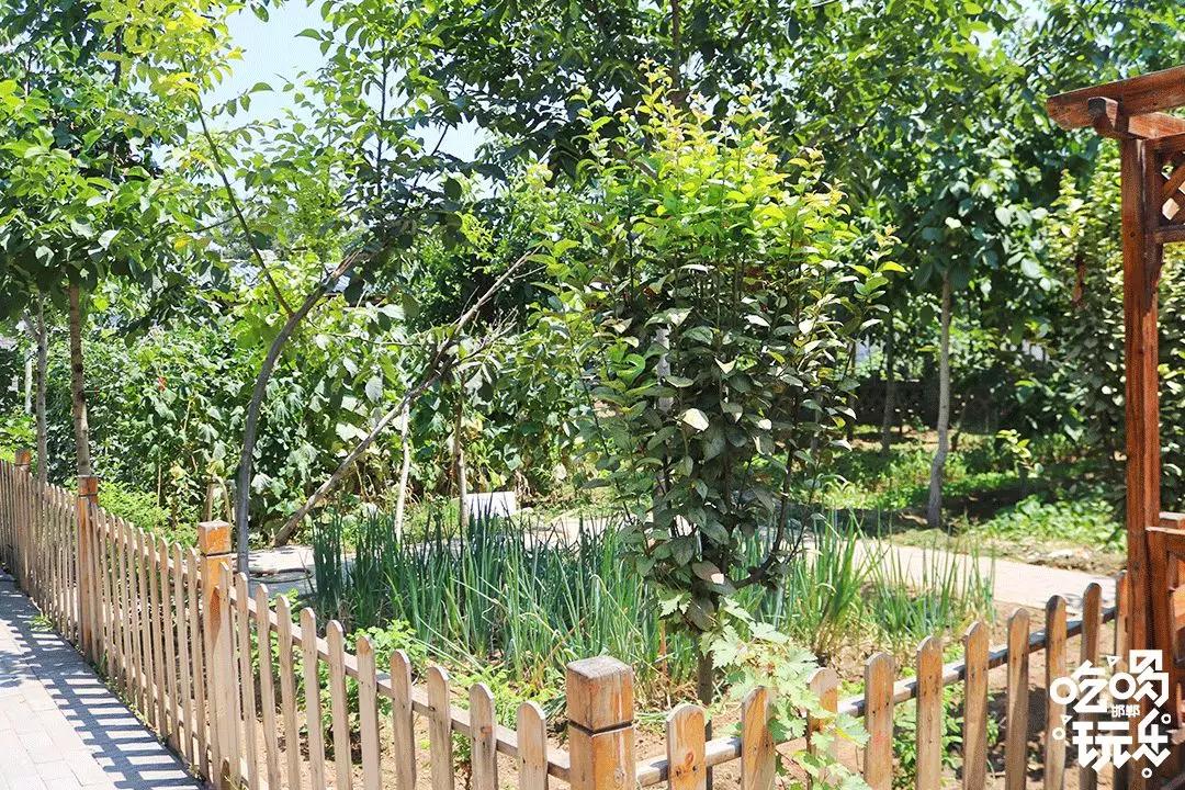 秋冬来袭！来碗养生汤！吃着鸽子喝着汤！请客有面子就到鸽子王