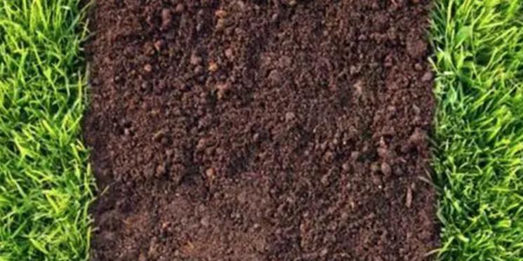 怎么检测土壤有没有肥力,如何判断土壤肥力好不好