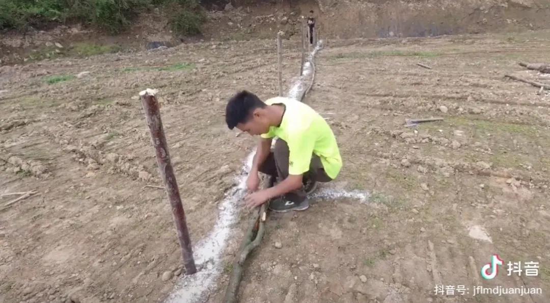 这群上不了赛场的人,给辱骂奥运会运动员的喷子上了最好的一课