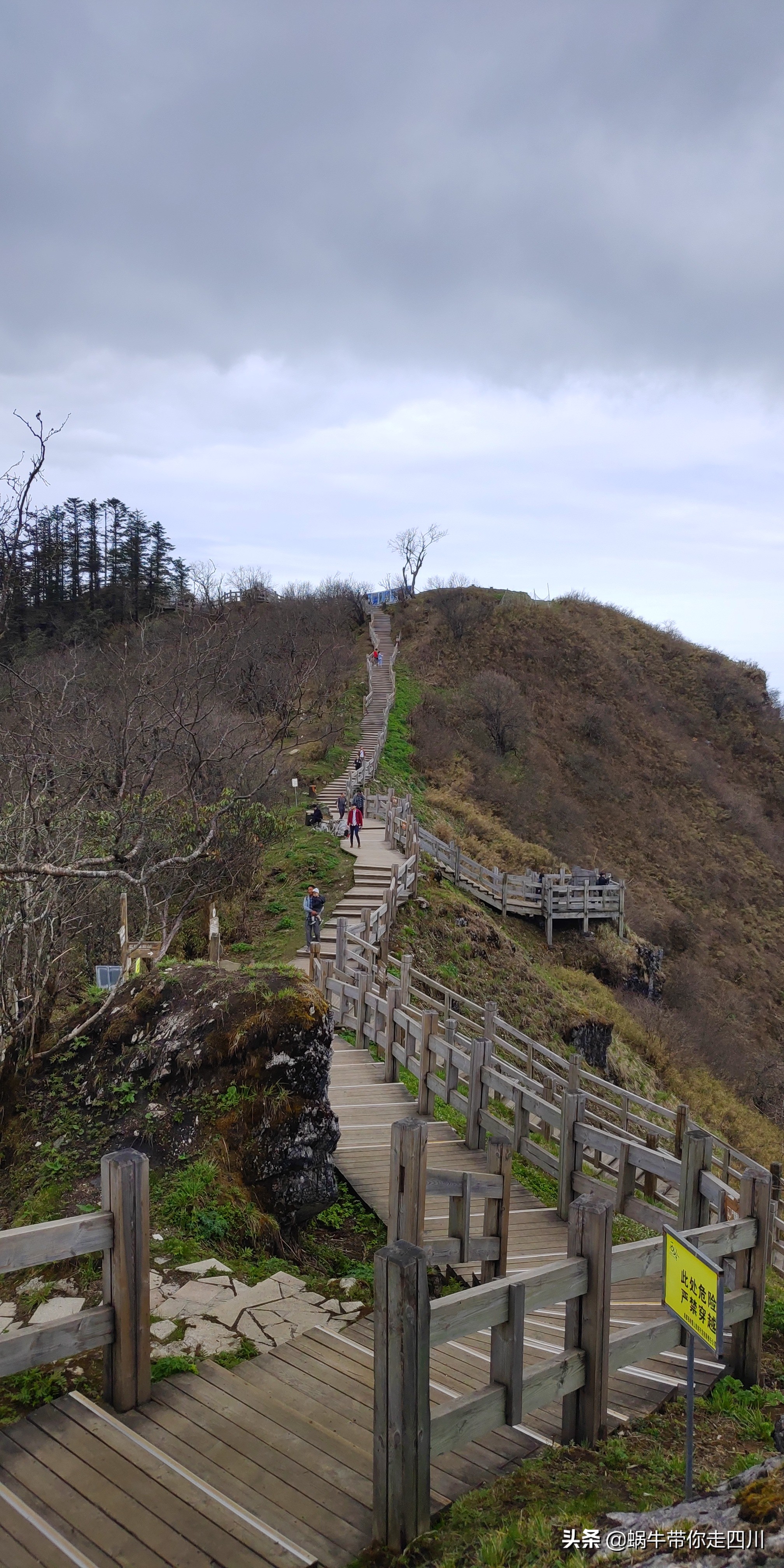 成都去西岭雪山两天一夜旅游团,成都出发雪山旅游