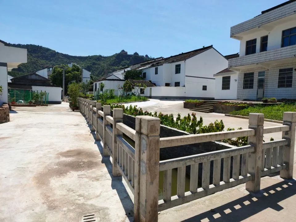 江阴新桥最美庭院,江苏江阴阳台风景