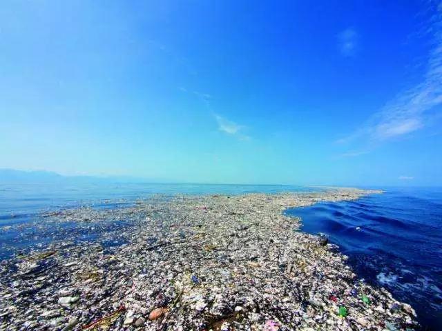 上海现在垃圾分类怎么样了,上海垃圾分类目前的现状