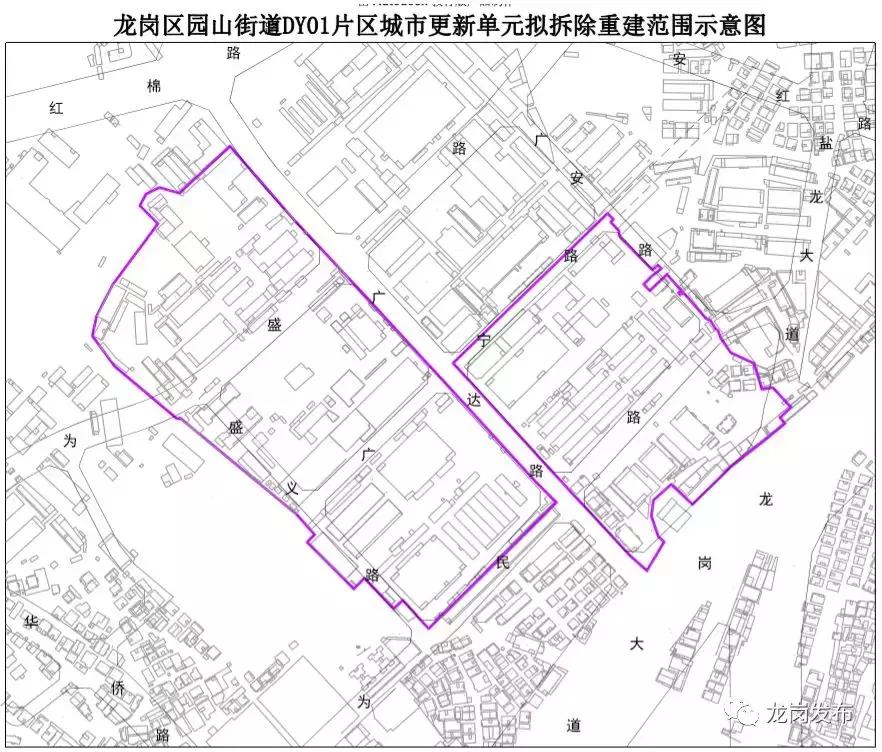 深圳这个区将增2所大学,深圳目前重点发展的几个区域