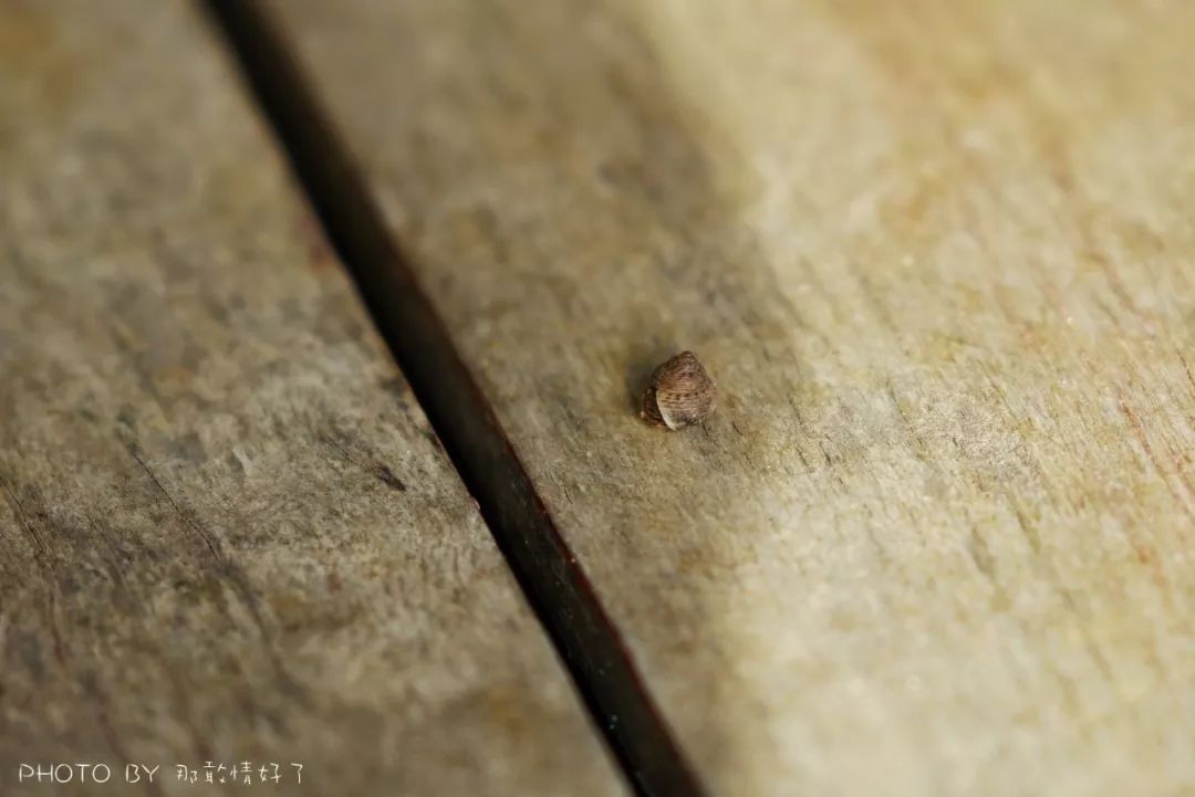 菲律宾冷门景区 (菲律宾锡基霍尔岛冲浪)