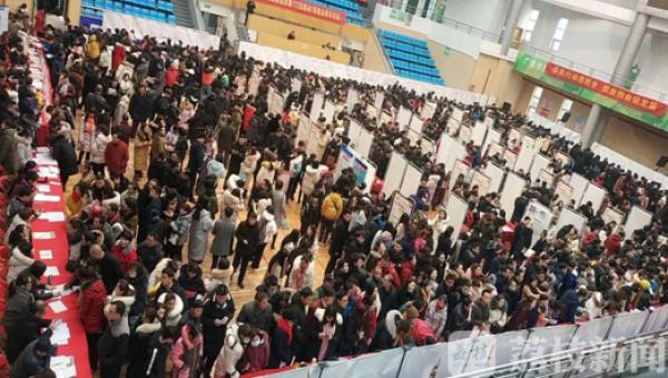 招聘行业薪资排行榜,找工作什么职位薪资待遇高