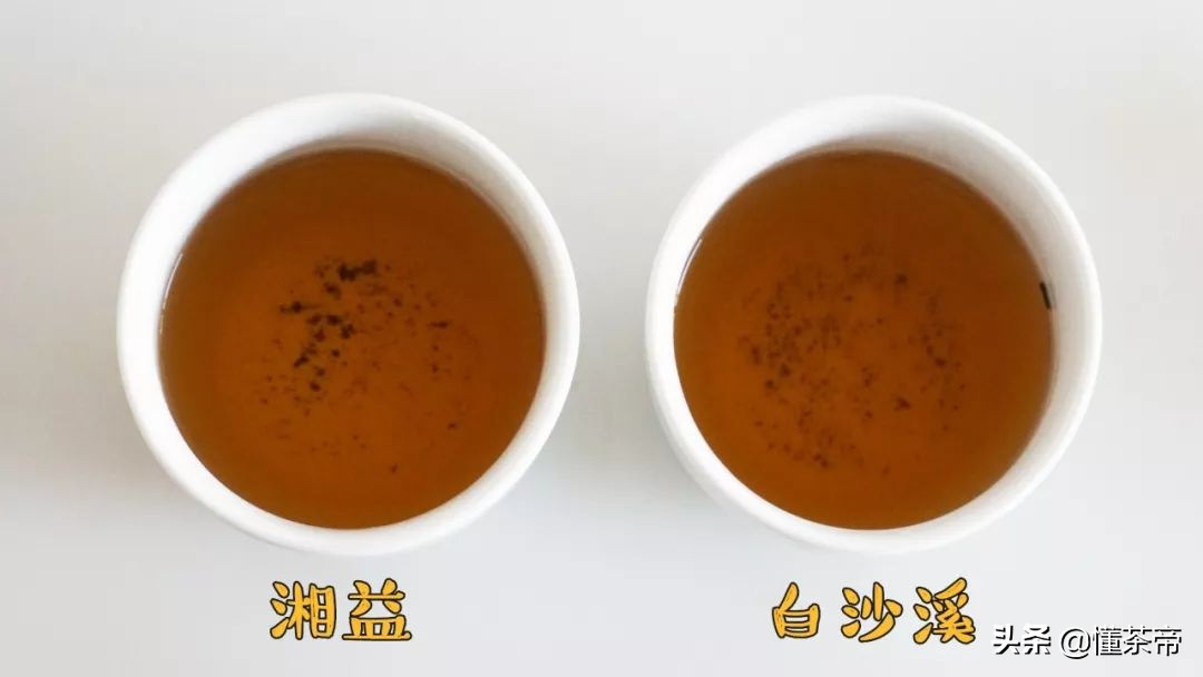 黑茶评测,哪个黑茶口感好香甜又好喝