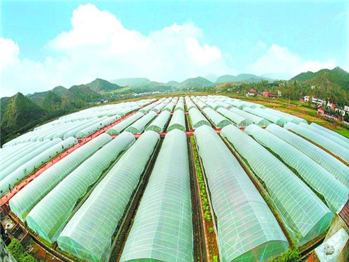 新型温室大棚骨架造价你了解多少,大棚温室骨架建造