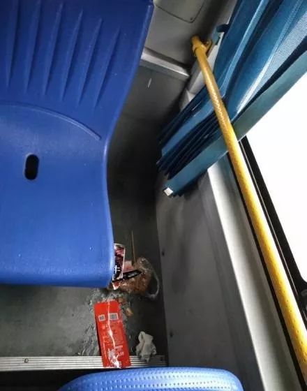 一个优秀驾驶员的自我修养,一个优秀客运驾驶员的自我修养