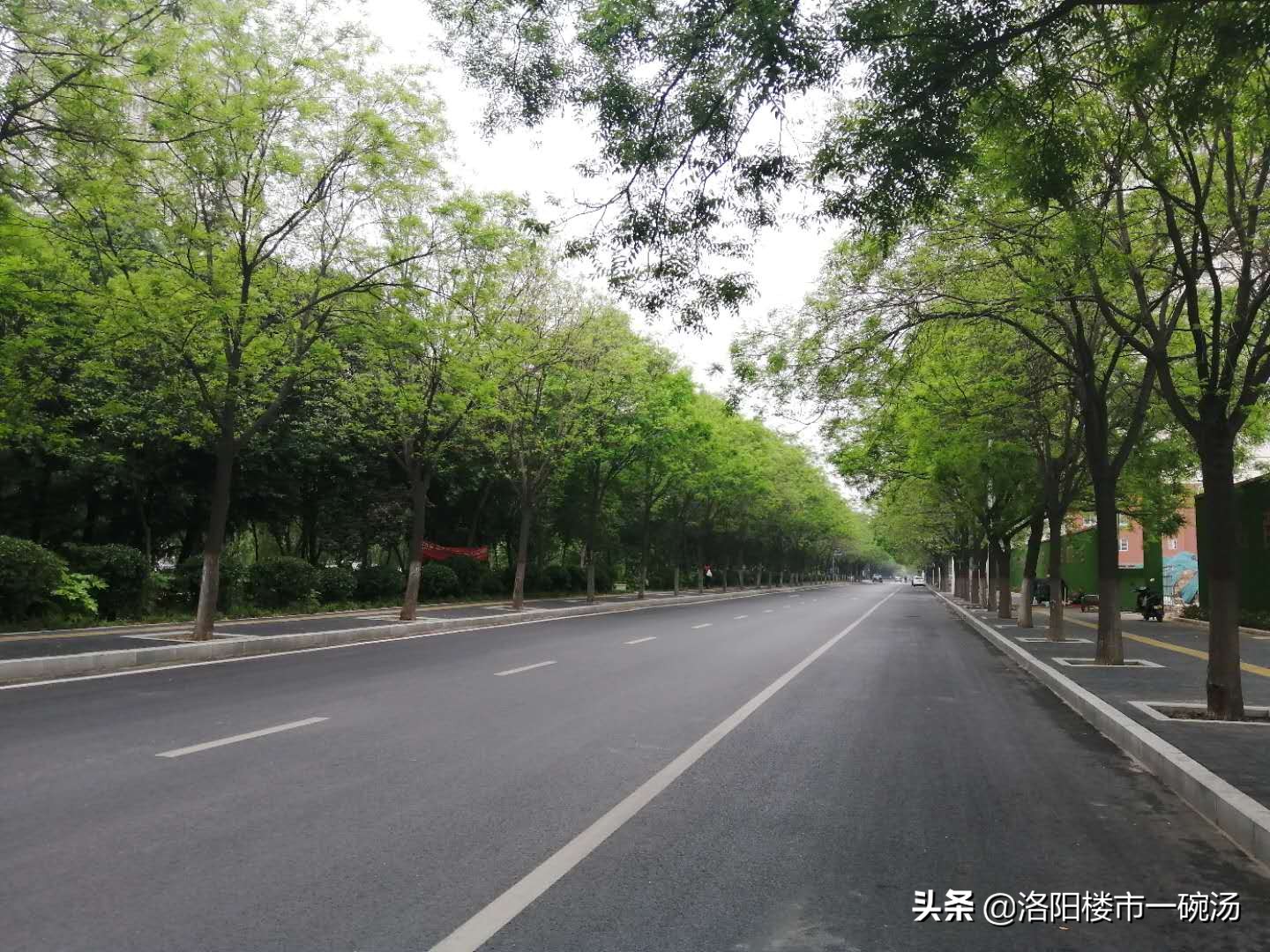 洛阳十大本土房企,又一房企