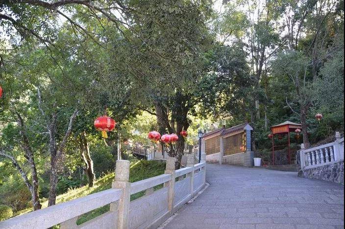 来喽·惠州候鸟印度洋风情别墅~网红泳池+休闲单车、农家特色菜