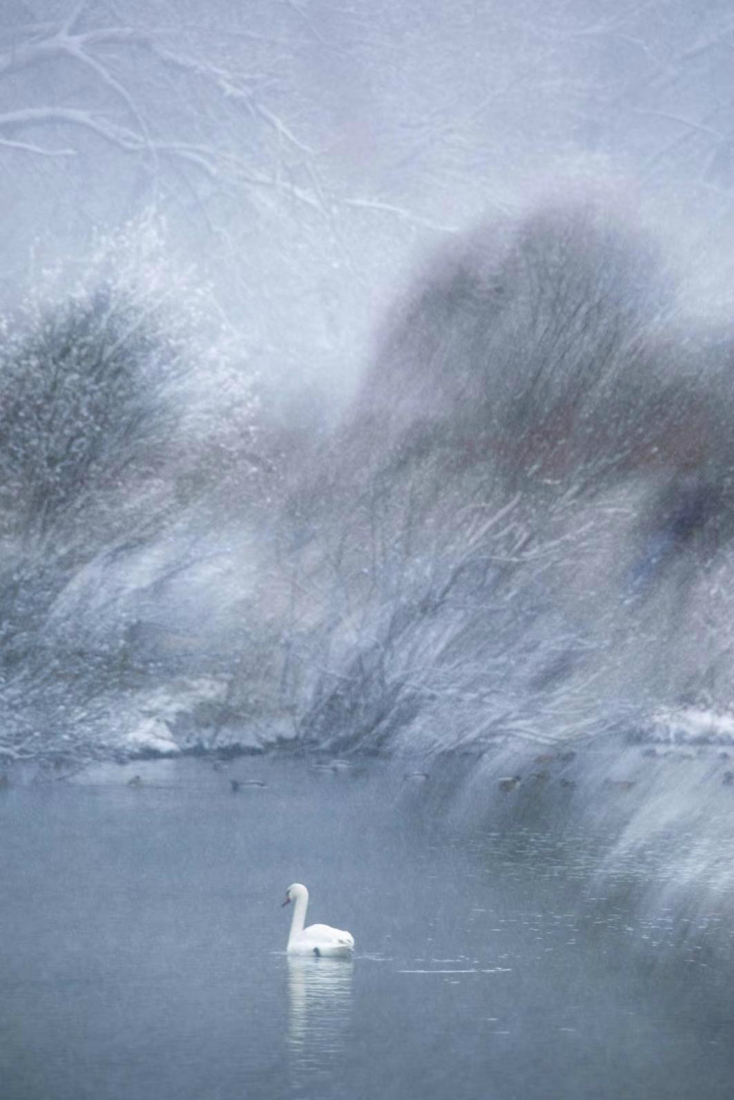 生态摄影师相机,生态摄影著名摄影家