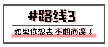 天津出发坐飞机2日游旅游推荐,天津出国旅游机票