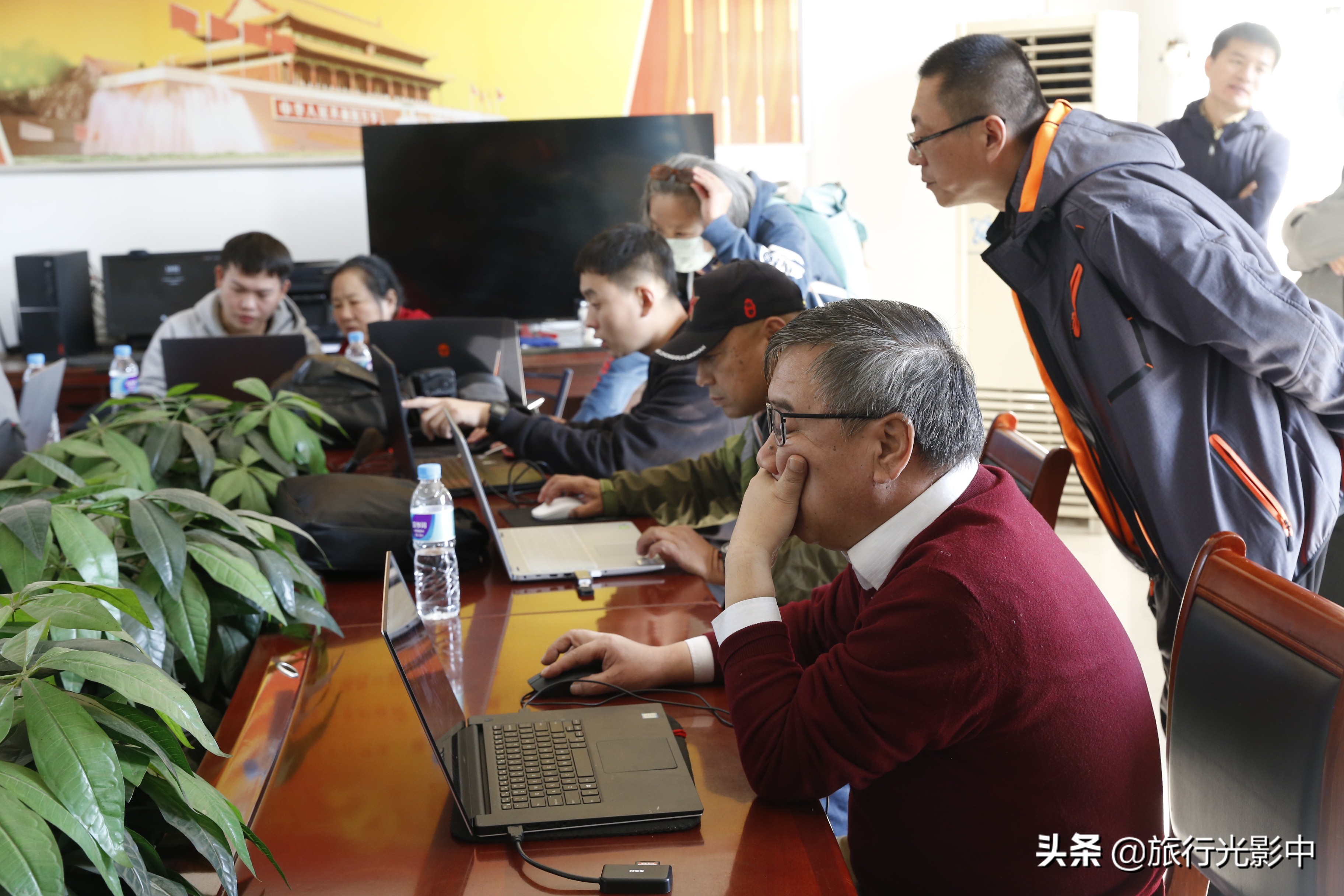 济南顶级摄影大咖，用镜头告诉你盆王菊花有多美