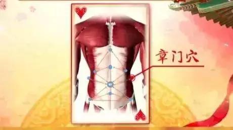 带脉是人体的长寿腰带,多功能经络健康腰带