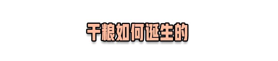怎么快速了解猫狗粮,宠物到底有没有必要吃宠物粮