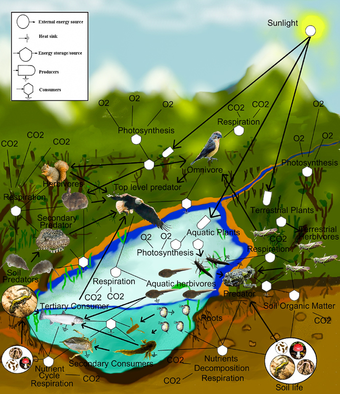 为什么阻止沙漠变成森林,如果沙漠全部变成森林地球会怎样