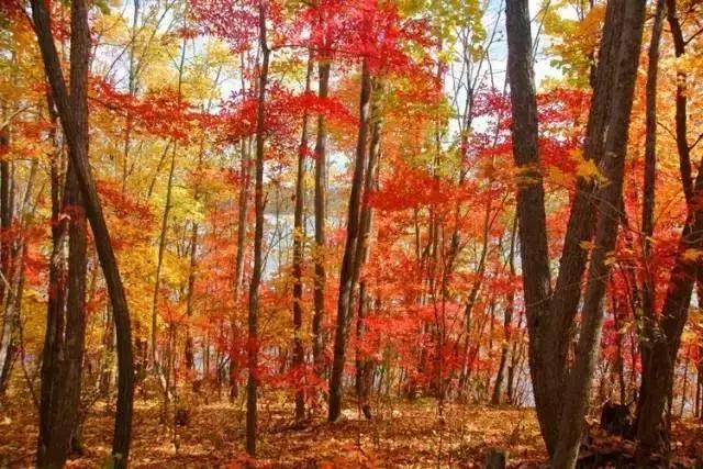 哈尔滨周边有10多个绝美胜地,哈尔滨自驾三亚边走边玩最佳路线