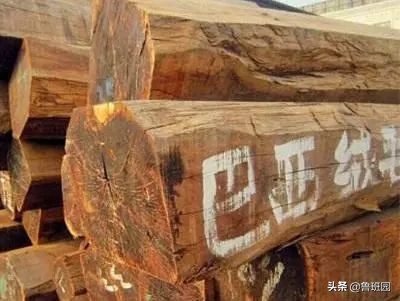 各种木头酸枝图片,酸枝是什么木