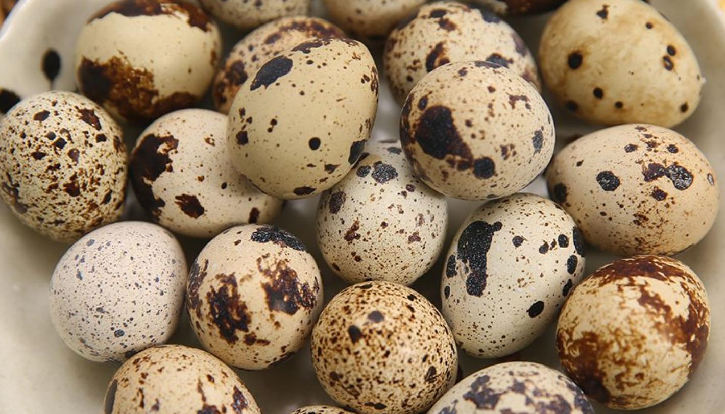 鹌鹑蛋5种最好吃的做法,鹌鹑蛋炖五花肉的家常做法很下饭