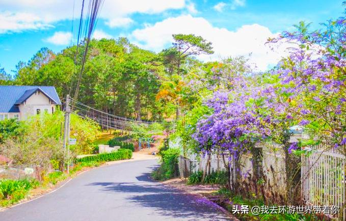 越南芽庄的蓝天白云,拥抱零下30度