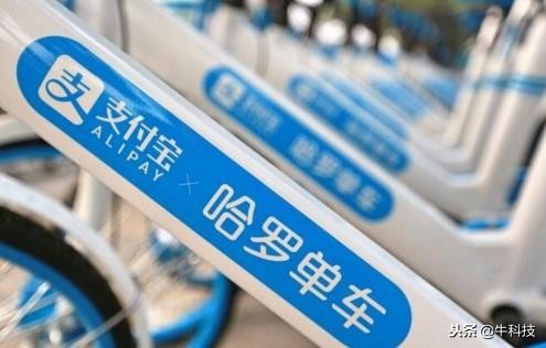 ofo赔偿1375万元，哈啰融资40亿，共享单车将何去何从