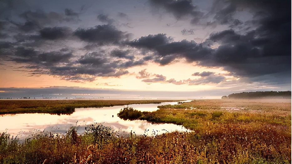 可以靠颜值偏要靠技术,能靠颜值偏靠实力